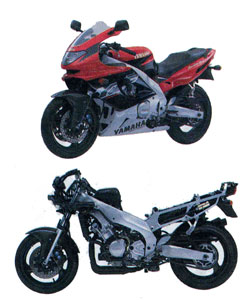 Yamaha Thundercat on Yamaha Yzf600r Thundercat