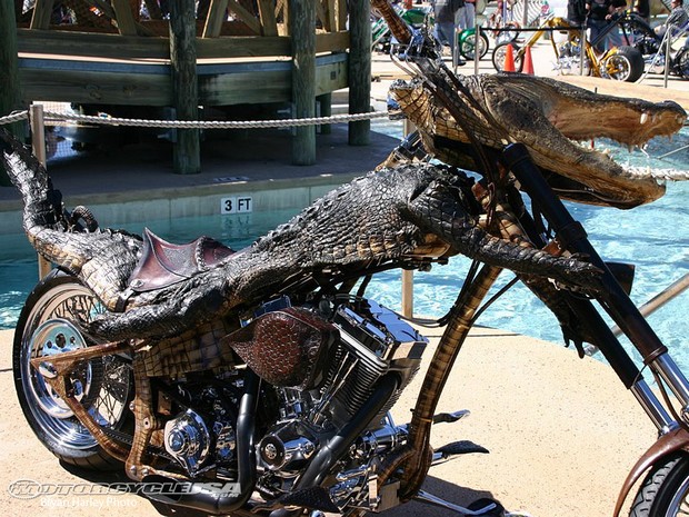 The Alligator Bike